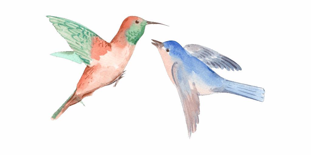 Illustration symbolique de deux colibris en vol, représentant la douceur et la reliance de l’accompagnement thérapeutique pour femmes à Mâcon.
