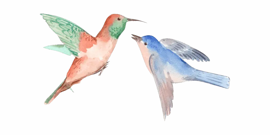 Illustration symbolique de deux colibris en vol, représentant la douceur et la reliance de l’accompagnement thérapeutique pour femmes à Mâcon.