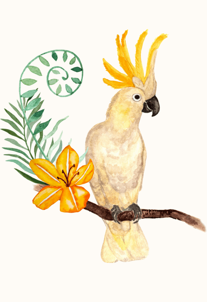 Illustration d’un perroquet porteur d'une lecture symbolique personnalisée, ambiance tropicale.