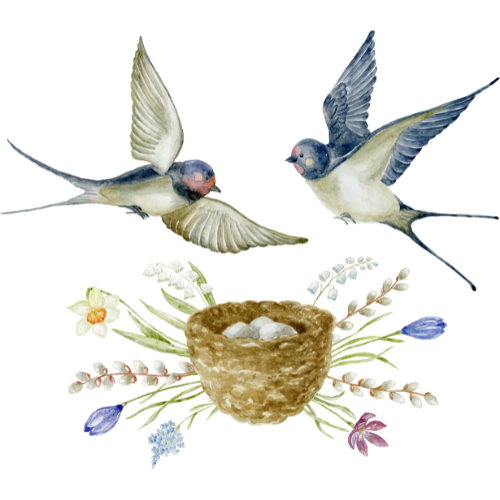 life transition coaching for women represented by a bird nest with two birds building it.