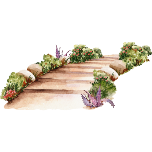 life transition coaching for women - a path leading to a meaningful life