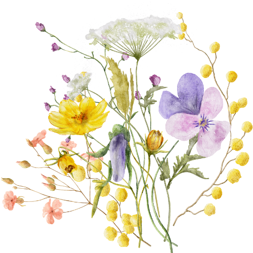 life transition coaching for women - a wild flower bouquet representing seeds of life.