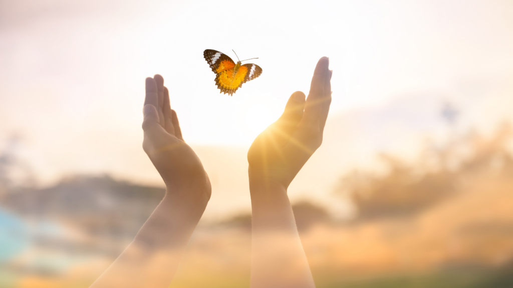 des mains libérant un papillon symbolisant l'année de déploiement symbolique