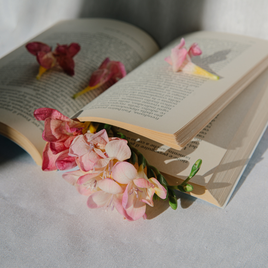 Still life poétique d’un livre ouvert avec des fleurs rosées glissées entre les pages, symbolisant la douceur, la clarté intérieure et le chemin de transformation dans un accompagnement sobriété.
